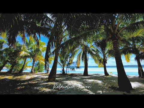 Relaxing Beach Lounge Calm Chill Music | Chill Haven