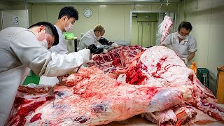 압도적인 스케일 소 발골 현장!! 30년 경력 달인의 해체쇼 How to butcher a Cow of meat / Korean food