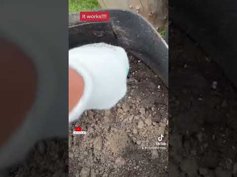 Free dirt!!!! #dirt #gardeningvideos #agricultura #agri #homegardening #homestead