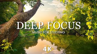 Deep Focus Music To Improve Concentration - 12 Hours of Ambient Study Music to Concentrate #803