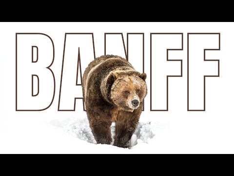 The ULTIMATE WINTER Banff Travel Guide