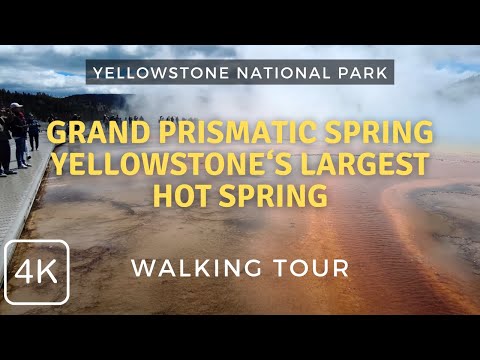 Walking Tour of Yellowstone's Grand Prismatic Spring 2024 | Yellowstone National Park