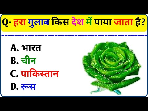 15 खतरनाक जीके प्रश्न || Gk Questions || Gk in Hindi || Gk Quiz || Gk ke sawal || Gurudeep Study