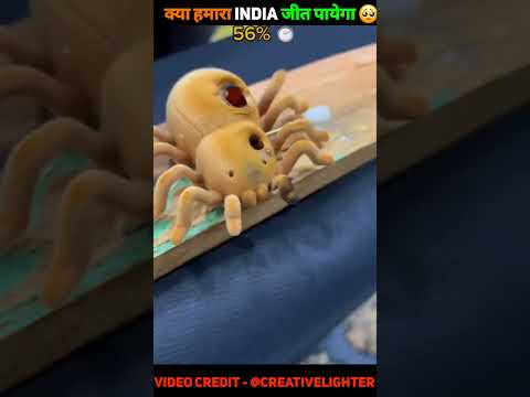 क्या India इस मकड़ी को जला पायेगा 😍🥺 ~ #shorts #short #shortvideo #youtubeshorts #trending