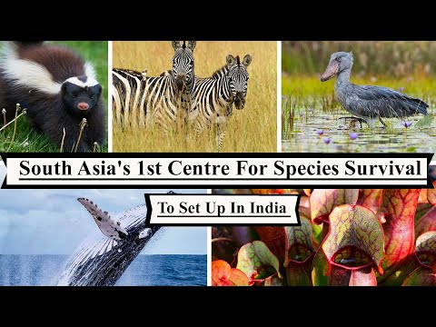 South Asia's 1st Centre For Species Survival To Be Set Up In India | IUCN SSC, WTI