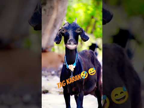 Tag Karan Name Wali Funny 😂🤣😝 Video || Shahab Khan Vloger || #comedy #funny #viral #shortfeed