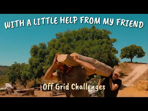 Building A Dream Outdoor Kitchen on Our Off-grid Homestead! 🌿🏡