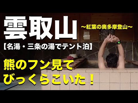 【三条の湯⇄雲取山】紅葉🍁温泉♨️熊のふん💩これぞ秋登山の醍醐味だ！（日本百名山）