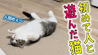 ずっと怖がってた保護子猫クン、初めて人間と遊んでくれた！