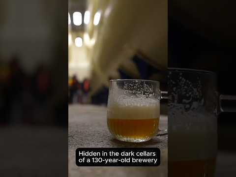 The best beer in the world is hidden in this cellar #beer #lager #travel