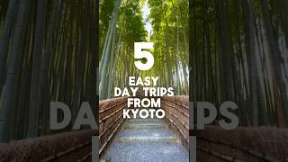 5 easy day trips from Kyoto by train. #japan #kyoto #kyototrip #japantravel #japantrip #nara #uji