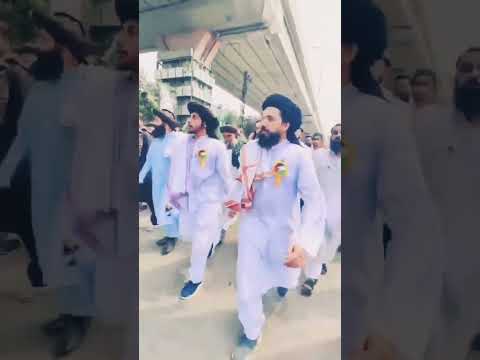 ALLAMA SAAD HUSSAIN RIZVI NEW VIDEO #sbtlp #shots #tranding #shots