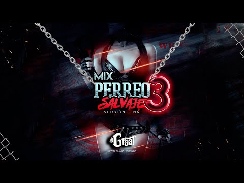 Mix Perreo Salvaje #3 - OldSchool🔥 Mix Reggaeton Antiguo | DJGROOT@EdwinAliaga