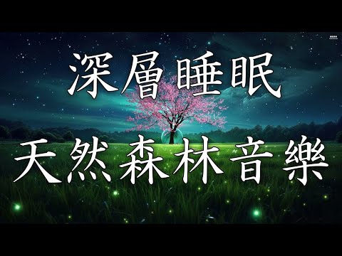 深層睡眠天然森林音樂🎵 療癒身心，緩解壓力，消除不安和恐懼