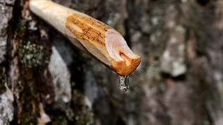 Carving a Spile and Tapping a Maple Tree