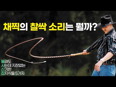 채찍은 말이여 땅을 쳐서 나는 소리가 아니여~ (몰사신잡 106화)