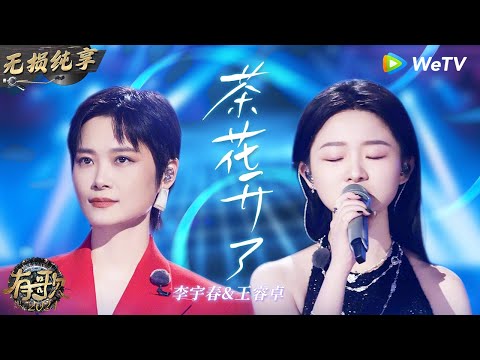 【无损纯享】听一遍哭一遍 #李宇春 & #王睿卓 催泪演唱《#茶花开了 》感动全场   | #有歌2024 EP8 #hitsong2024 | WeTV综艺音乐