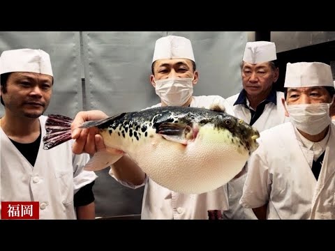 The amazing technique of handling giant puffer fish [Japanese food stall]