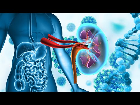 Repair Functions In The Kidneys - Full Recovery Stronger Immune System At 528 Hz - Relieve Stress