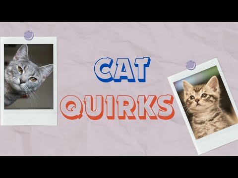 The Science Behind Your Cat's Quirky Behaviors!