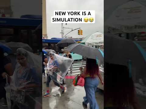 New York Is A Simulation 😂😭 #hoodfunny #funny #funnyclip #newyork #simulation #rain