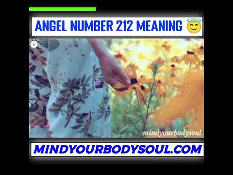 🌈👁️💥 "SEEING THE RAINBOW: The Life-Changing Meaning of Angel Number 212 🌈💥"