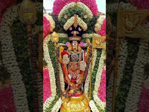 #SARAVANAKUMARAN#APPAN#TRENDING MURUGAN#GOD#AROGARA##DEVOTIONALSONGS #BAKTHI SONGS #saamisongs