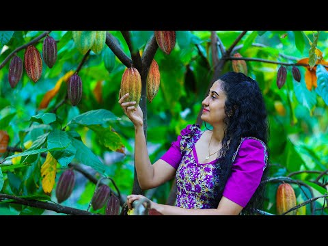 Homemade Cocoa Powder 🍫 Chocolate Moist Cakes, Honey Cones & More Delicious Sri Lankan Sweets