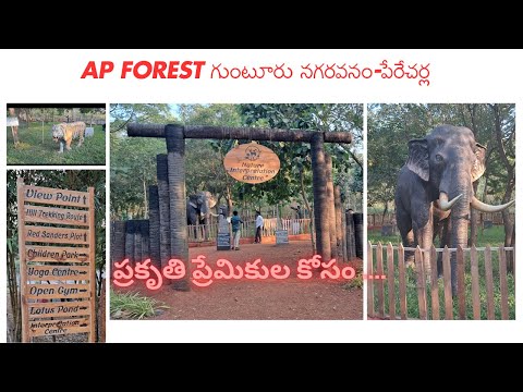 A.P FOREST GUNTUR NAGARAVANAM \\ గుంటూరు నగరవనం-పేరేచర్ల