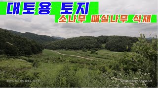 공시지가수준의 저렴한 가격의 대토용으로 적합한 토지 - MG210621