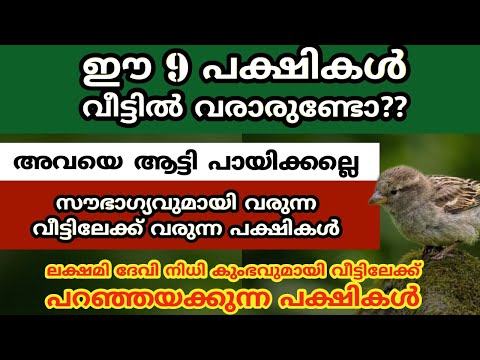 ലക്ഷമി ദേവി നിധി കുംഭവുമായി വീട്ടിലേക്ക് പറഞ്ഞയക്കുന്ന പക്ഷികൾ