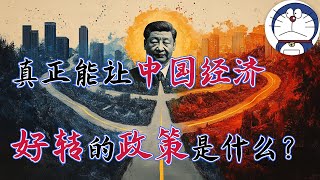 方脸说：真正能让中国经济，好转的政策是什么？解读中国经济的三种可能的政策方向！重回胡温时期丨刺激消费丨电动车丨新质生产力