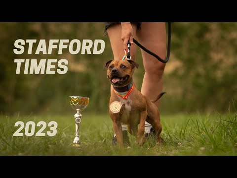 Staffordtimes 2023 - Sporting with Staffords - Wall Climb, Far Jump, A Frame, Hedge Jump