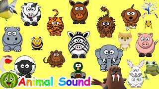 The Animal Sound Song A12A13 || Kids Songs and Nursery Rhymes || EduFam ~