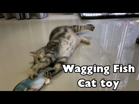 Wagging Fish Cat toy