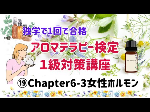 【アロマテラピー検定１級　独学で合格しよう！】Chapter6-「女性ホルモン」のところを解説しています。