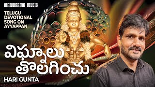 Vignaalu Tolaginchu  🔥 |  Hari Gunta  🎼  |   Telugu Ayyappa Devotional Video Song