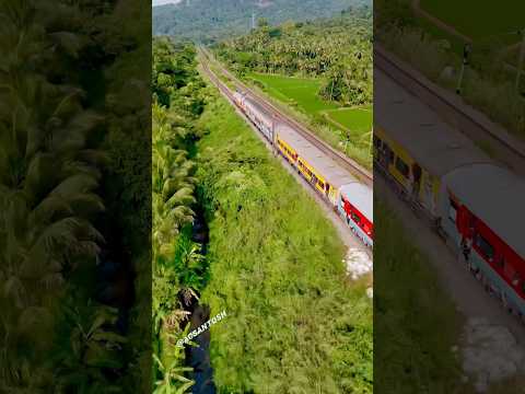 🚂 passing through valleys and hills of Kerala 🌴🌴🌴🌳🍃#trains #indianrailways #viralvideo