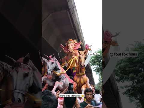 parel cha maharaja 👑 2023 | Visarjan #bappamorya #religion #ganpati #festival #bappa