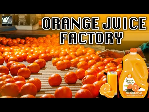 संतरे का रस कारखाना - Orange Harvesting Juice Production Line & Technology In Factory - Documentary