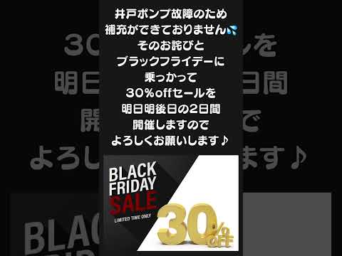 明日明後日はブラックフライデーセール♪ただ補充はできてませんm(_ _)m #ゆたかなメダカ#宮崎#めだか#メダカ#アクアリウム#魚#ペット#aquarium