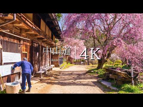 [Spring on Nakasendo Walking] Magome-juku → Issoku Tochitatechaya → Tsumago-juku - JAPAN in 4K