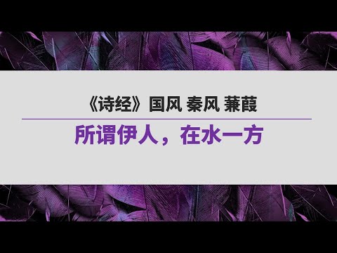 《诗经》（129）国风 秦风 蒹葭 | 所谓伊人，在水一方