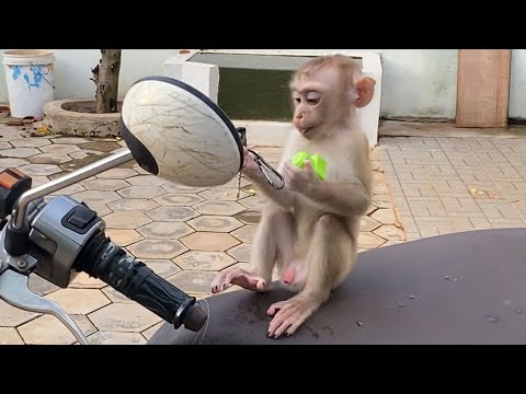 Little Adorable Baby Boy To Playing Outside Look Is Very Happy