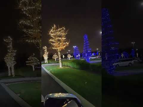 The Best Holiday Lights From The Comfort Of Your Car