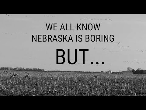 Nebraska Travel Guide to the Sandhill Crane Migration | 2024