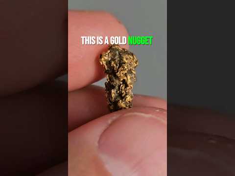 Gold Nuggets Are Not What You Think! #Gold #goldnugget #metaldetector #rich