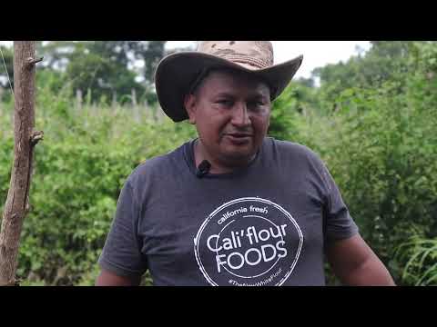 Producción bajo paneles solares y escuela agroecológica