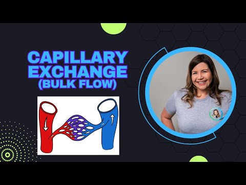 Capillary Exchange : Bulk Flow (Filtration and Reabsorption)