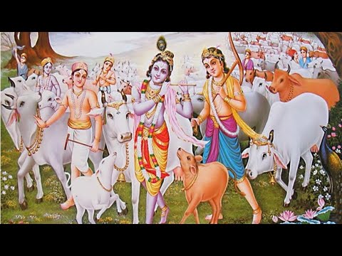 मत रोवे ढोली ढोली गा दुनिया में कोई ना सुखी || sunita Sharma  #gaumata #krishanbhajan #shayambhajan